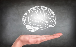 Thời kỳ kinh nguyệt không làm giảm hiệu quả hoạt động trí óc