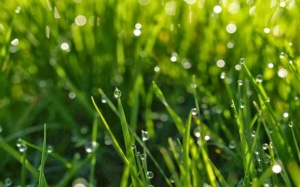 Các tỉnh Bắc Bộ có xu hướng tăng mưa trở lại