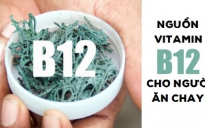 Thực phẩm nào giàu vitamin B12 tốt cho người ăn chay?