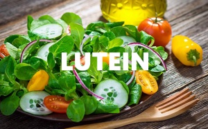 Lutein - niềm hy vọng mới cho bệnh nhân động mạch vành