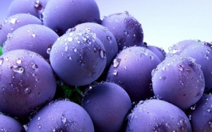 6 ích lợi của quả việt quất đối với sức khỏe não bộ