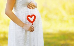 5 loại thảo mộc giúp chị em tăng khả năng làm mẹ