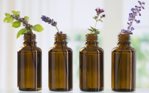 5 loại tinh dầu giúp giảm đau cơ xương khớp hiệu quả