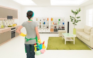 19 cách sử dụng hàn the để dọn nhà, chống côn trùng và diệt cỏ