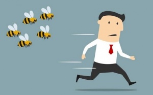 Infographic: Làm thế nào để không bị muỗi, côn trùng đốt Hè này?