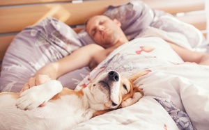 Infographic: Kiểm tra ngay bạn nên ngủ theo phương pháp nào?