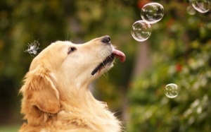 Tử vi 12 cung hoàng đạo thứ sáu (21/7/2017)