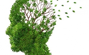 1/3 số ca sa sút trí tuệ có thể ngăn chặn nhờ 9 thay đổi này