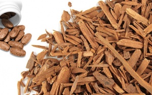 Cảnh báo loại thảo dược dùng nhiều trong TPCN gây độc cho trẻ nhỏ