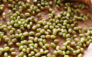 Ngâm hạt đậu trước khi nấu: 3 lợi ích không ngờ