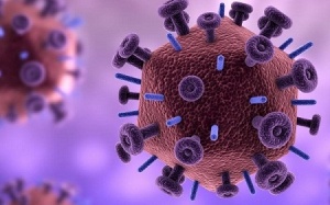 Phát hiện mới giúp ngăn ngừa lây truyền virus HIV qua đường tình dục