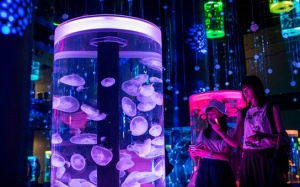 Người Nhật đang sống trong một 'thế giới tương lai' như thế nào?