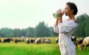 Loại sữa bò bạn vẫn uống mỗi ngày liệu có vô hại?