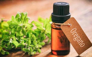 5 loại kháng sinh tự nhiên hiệu quả nhất mọi chuyên gia khuyên dùng