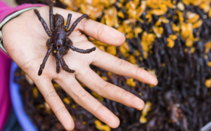 Sửng sốt với 10 món ăn kỳ lạ nhất thế giới