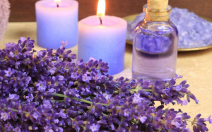 Bốc hỏa, muốn bùng cháy: Thử ngay 6 loại tinh dầu thơm