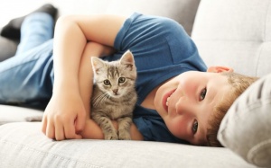 Tử vi 12 cung hoàng đạo Chủ nhật (6/8/2017)