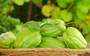 4 lợi ích sức khỏe của quả su su