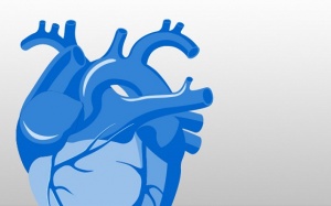 Infographic: Bệnh suy tim - Mọi điều cần biết