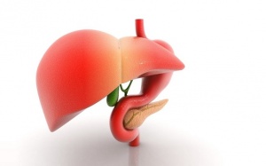 Một vài dấu hiệu cảnh báo gan đang bị tổn thương 