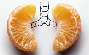 Những thực phẩm làm tăng nguy cơ ung thư phổi