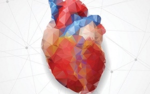 Nam giới bị trống ngực, nhịp tim nhanh có nguy hiểm không?