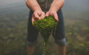 Các thực phẩm thực sự giàu dinh dưỡng nên ăn mỗi ngày