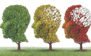 Đái tháo đường, tăng huyết áp làm tăng nguy cơ sa sút trí tuệ