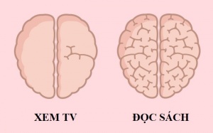 Những thói quen thường ngày ảnh hưởng đến bộ não thế nào?