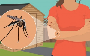 Chống muỗi đốt tự nhiên: Đừng ăn nhiều 4 thực phẩm sau