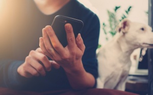 5 bài tập yoga giúp ngăn ngừa hội chứng ống cổ tay