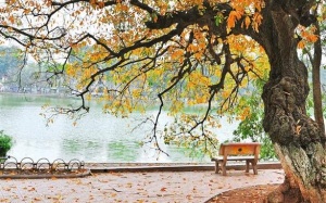 Bắc Bộ giảm mưa, Tây Nguyên và Nam Bộ tiếp tục mưa to