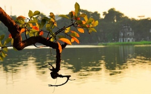 Bắc Bộ nắng ráo đến giữa tuần tới