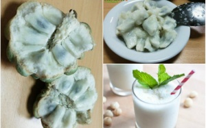 Đang mùa na, làm ngay sinh tố na mát lành bổ dưỡng