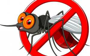 Cách đuổi muỗi ra khỏi nhà đơn giản không cần dùng hóa chất