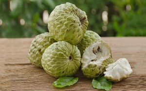 Infographic: Cẩm nang mùa na chín