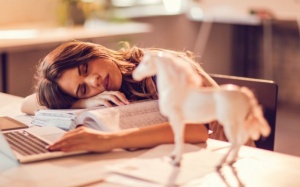 7 bước giúp bạn ngủ trưa dễ dàng và hiệu quả hơn