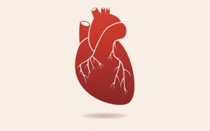 Những người bị rối loạn nhịp tim nhanh nên bổ sung vitamin gì?