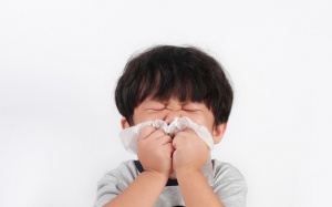 5 lý do khiến bạn bị hắt hơi liên tục