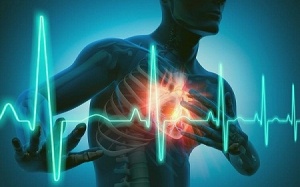 Người mắc bệnh thận dễ bị bệnh tim, rung nhĩ