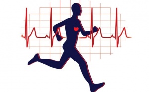 Những bài tập thể dục tốt cho sức khỏe tim mạch