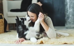 Tử vi tuần mới (4 - 10/9/2017) với 12 cung hoàng đạo