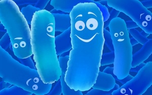 Bổ sung probiotic như thế nào cho đúng?