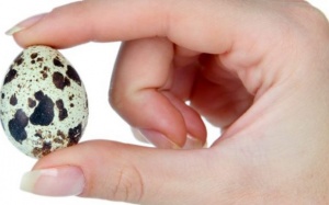 Trứng chim cút tốt với sức khỏe như thế nào?