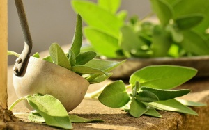 9 phương pháp điều trị tự nhiên cho bệnh nhân giang mai