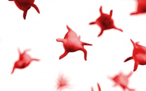 Giảm tiểu cầu nguy hiểm như thế nào?