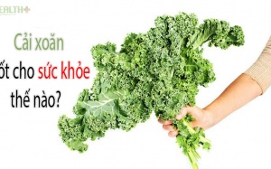 Rau cải xoăn tốt cho sức khỏe như thế nào?