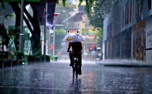 Bắc Bộ có mưa to vào chiều tối và đêm nay