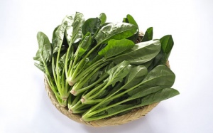 Tác dụng thần kỳ từ cải bó xôi