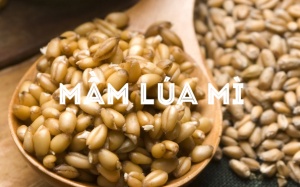 Mầm lúa mì bổ dưỡng tới mức nào?